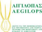 aigilops logo